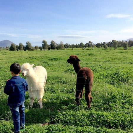 Taras Richmond Farmstay Campania Eksteriør bilde