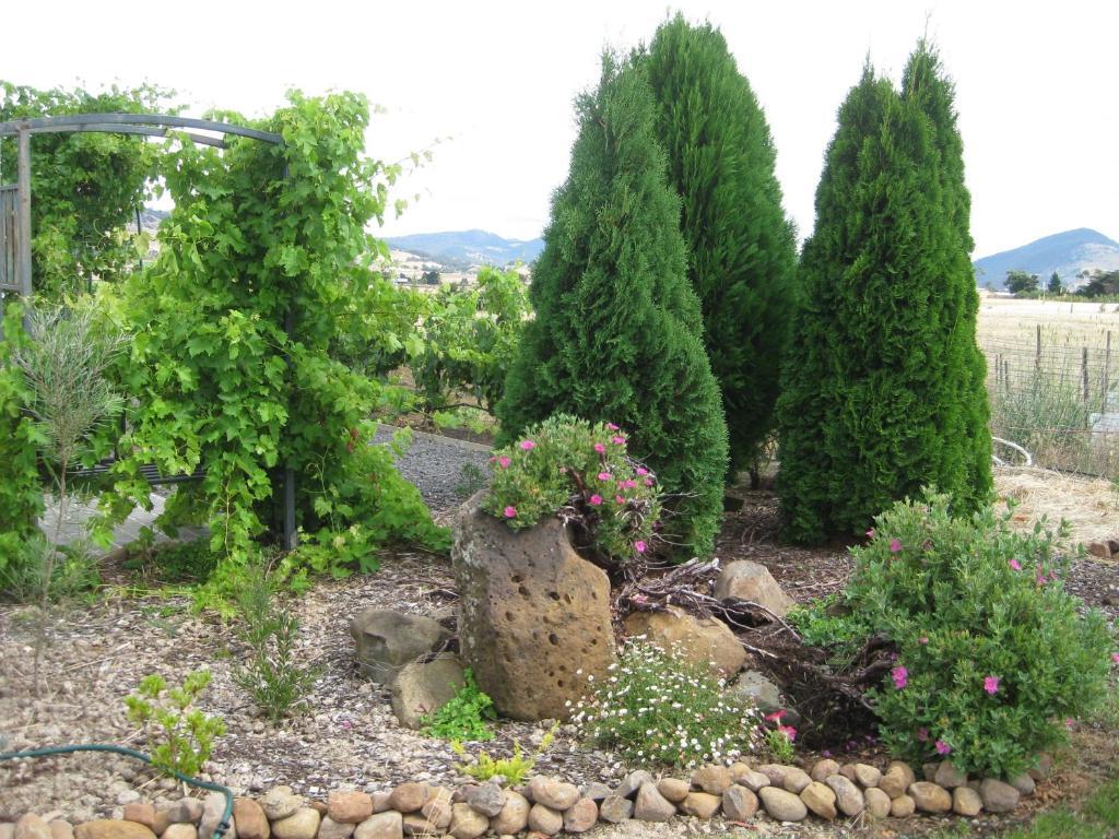 Taras Richmond Farmstay Campania Eksteriør bilde