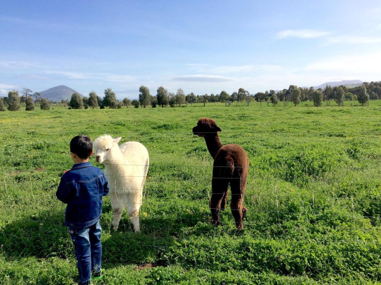 Taras Richmond Farmstay Campania Eksteriør bilde